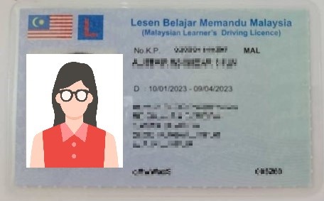 Leaner license