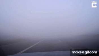Fog accident